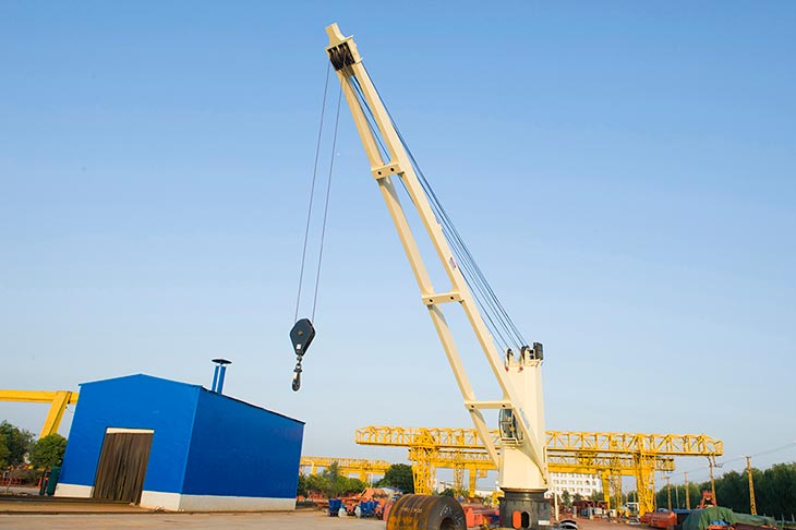 Nucleon successfully developed marine deck crane
